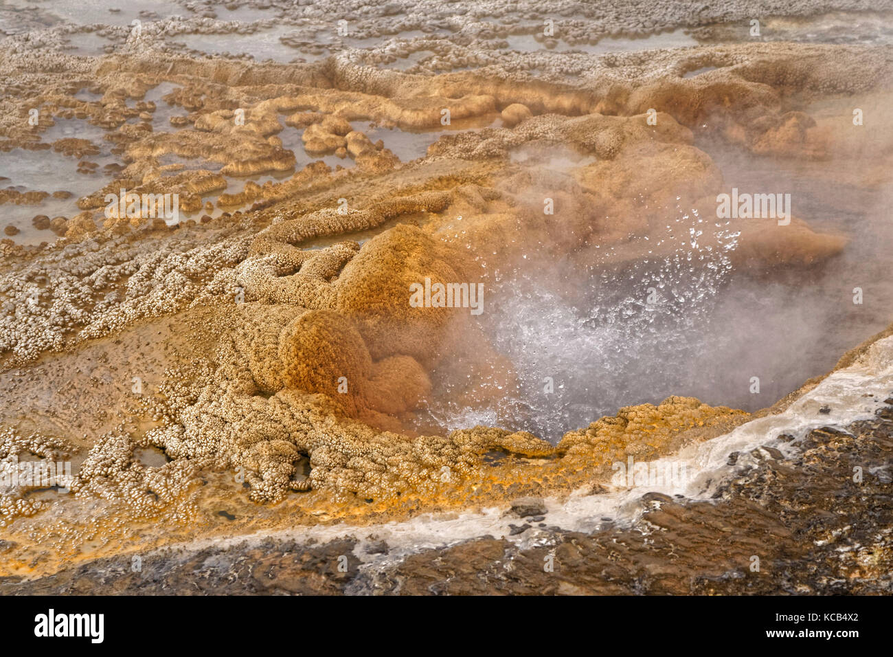 Dettaglio delle caratteristiche geotermiche nel Bacino dei fedeli dell'ODL superiore, Parco Nazionale di Yellowstone Foto Stock