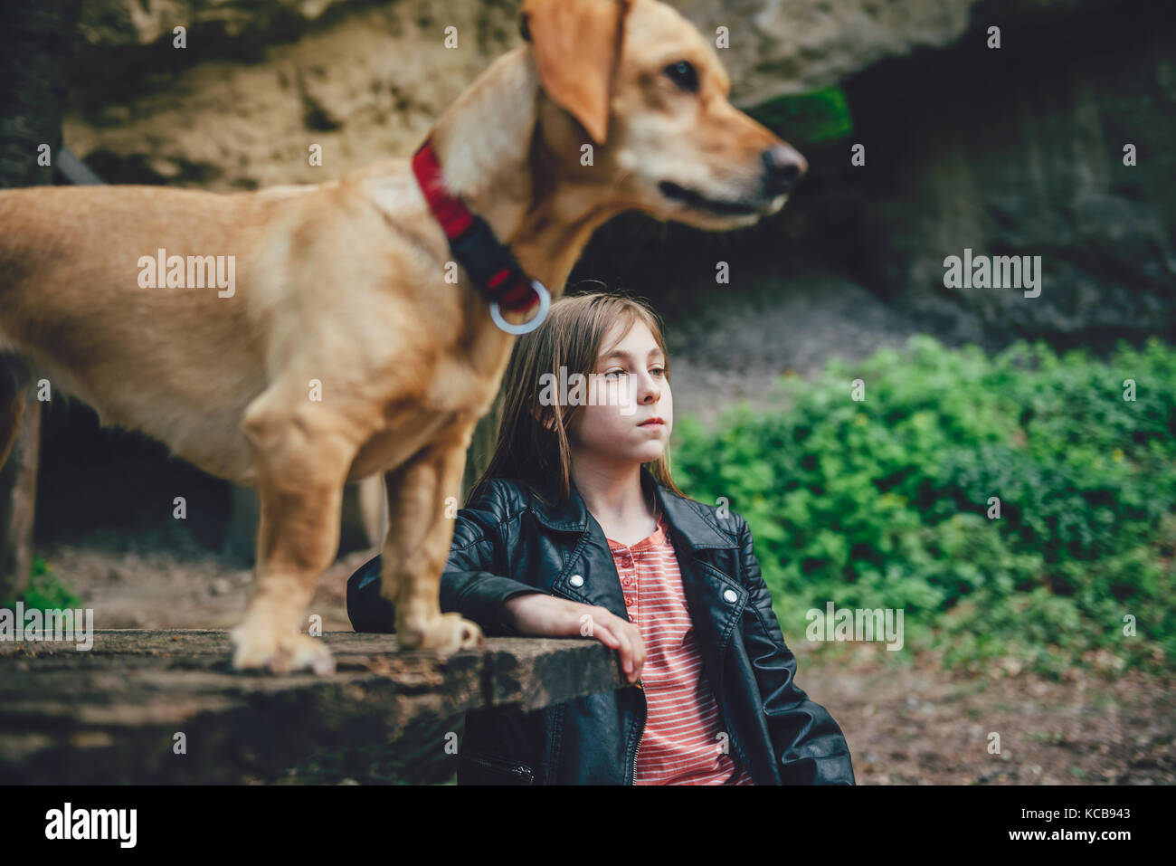 Ragazza con un cane seduto su una panca in legno per esterno Foto Stock