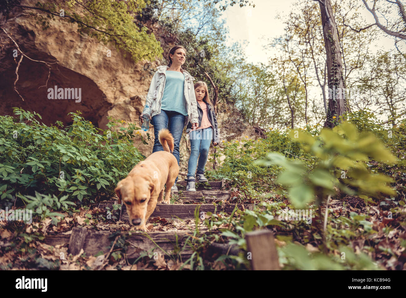 Madre e figlia a piedi nella foresta con un piccolo cane giallo Foto Stock