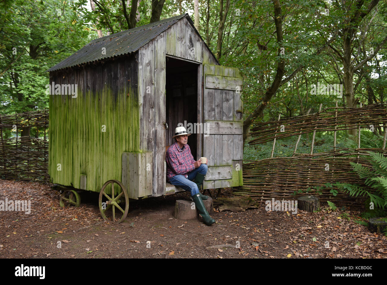 Uomo rilassante al capannone di giardino di bosco su ruote Gran Bretagna appartato isolamento isolamento rifugio rurale hideaway Foto Stock
