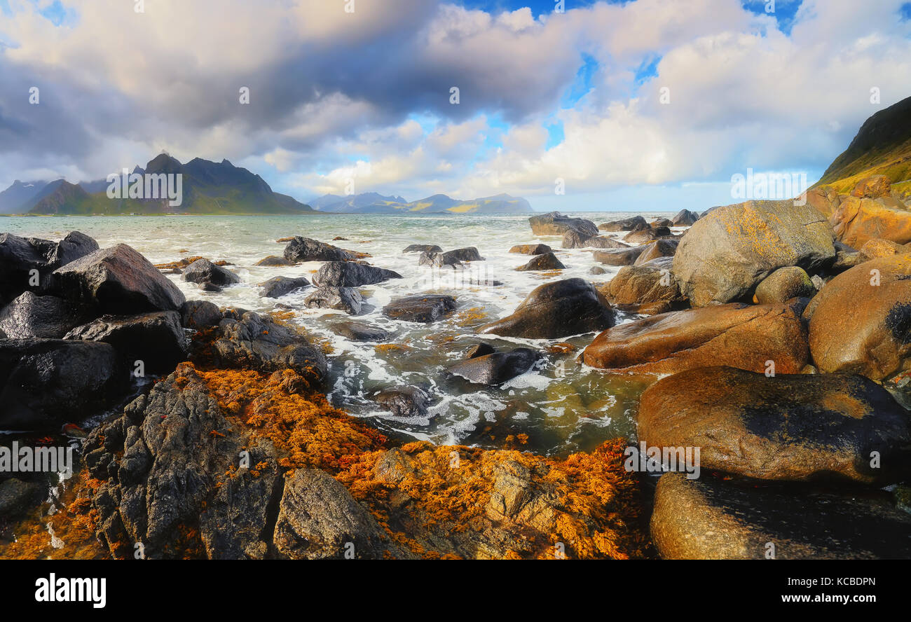 Splendida natura norvegese su un estate giornata soleggiata. seascape delle Lofoten spiaggia di pietra. Foto Stock