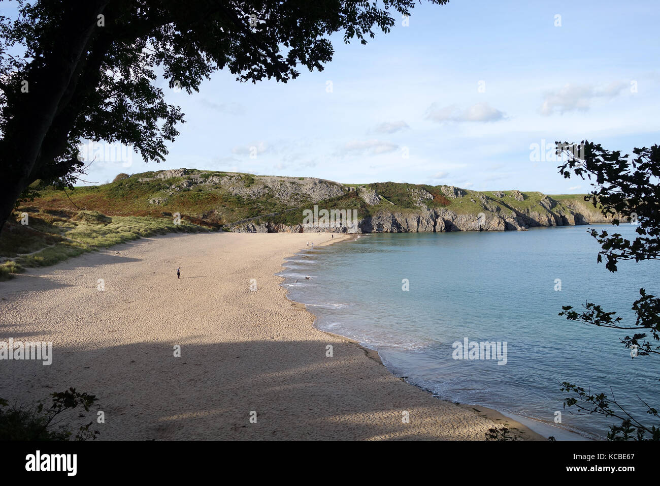 Barafundle Bay in Pembrokeshire, West Wales, Regno Unito Foto Stock