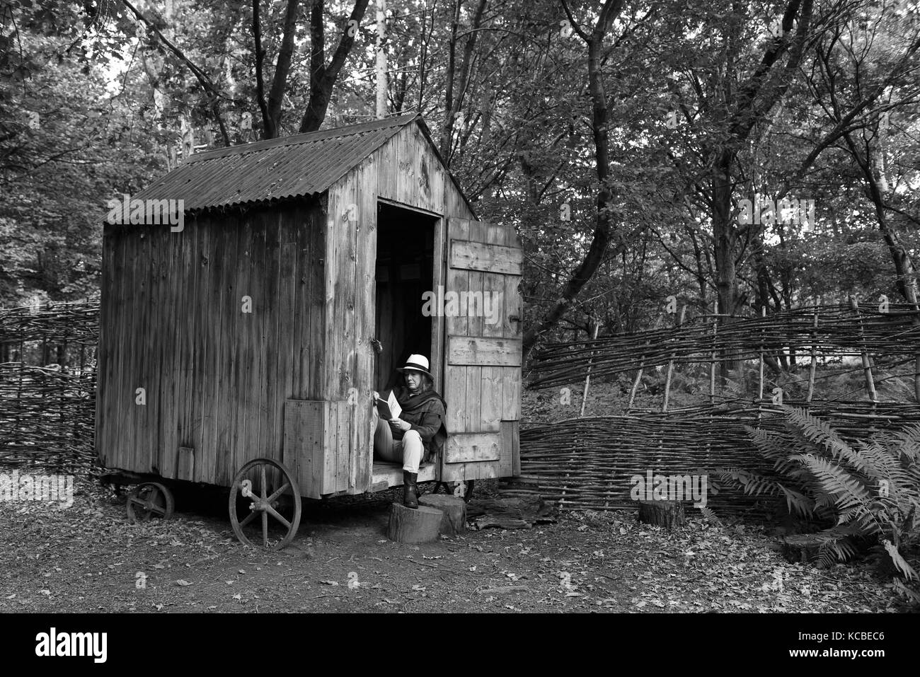 Donna che si rilassa con libro su capannone di giardino di bosco su ruote Regno Unito appartato isolamento isolamento rifugio rurale Foto Stock