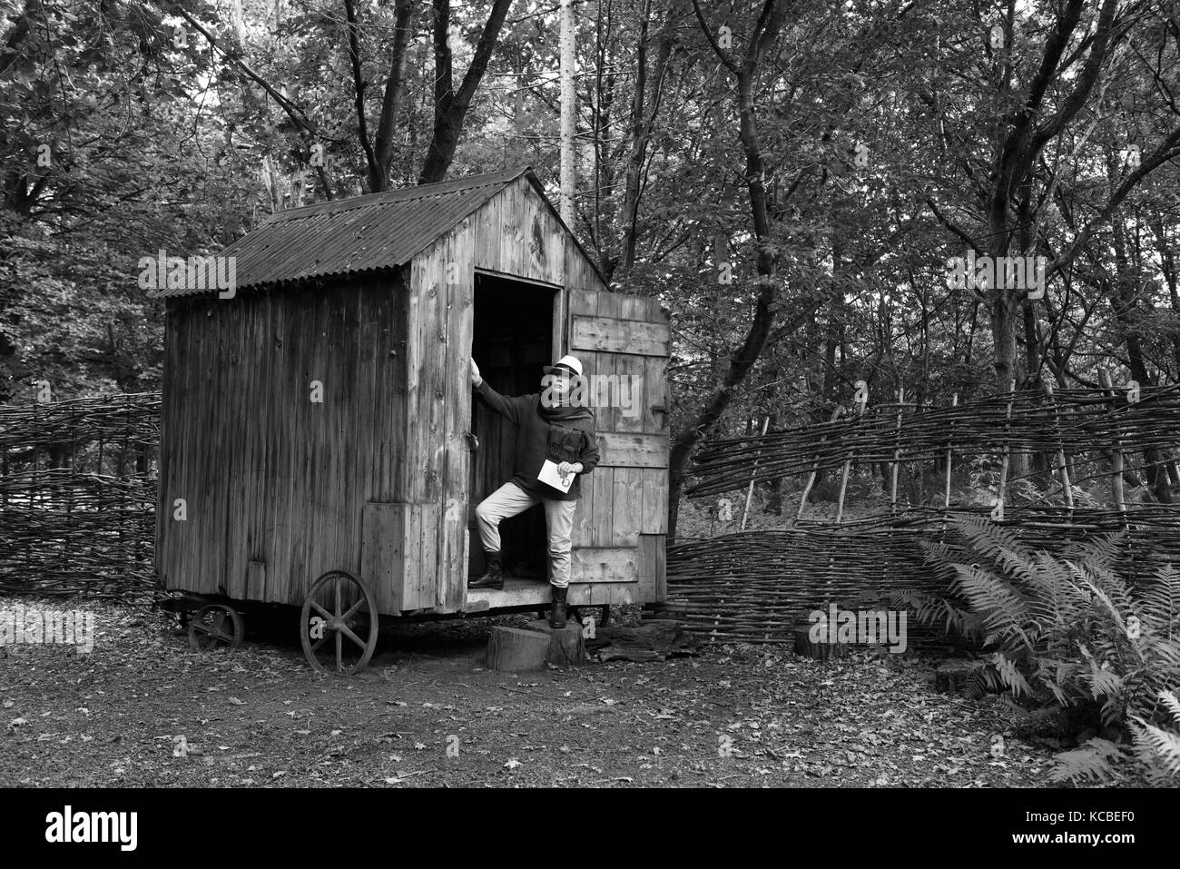 Donna che si rilassa con libro su capannone di giardino di bosco su ruote Regno Unito appartato isolamento isolamento rifugio rurale Foto Stock