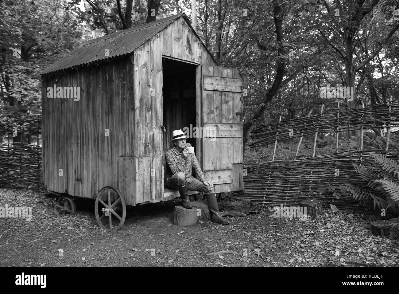 Uomo rilassante al capannone di giardino di bosco su ruote Gran Bretagna appartato isolamento isolamento rifugio rurale hideaway Foto Stock
