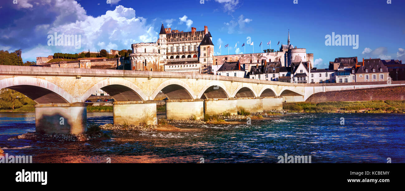 Bella città di Amboise,vista con ponte vecchio e il vecchio castello,della Valle della Loira, Francia. Foto Stock