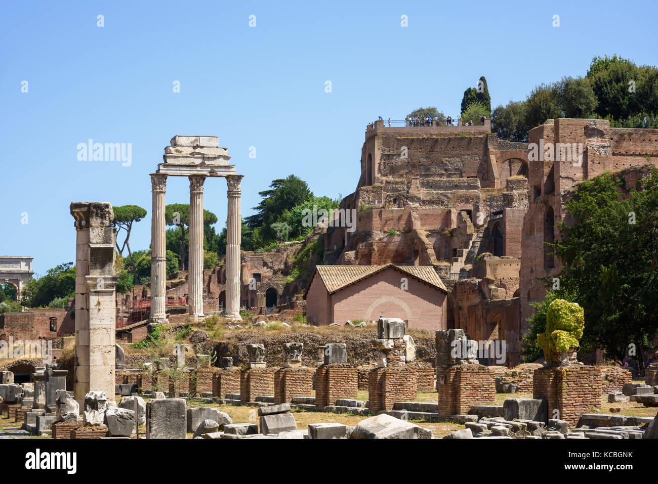 Tempio di Castore e Polluce, Roma, Italia Foto Stock
