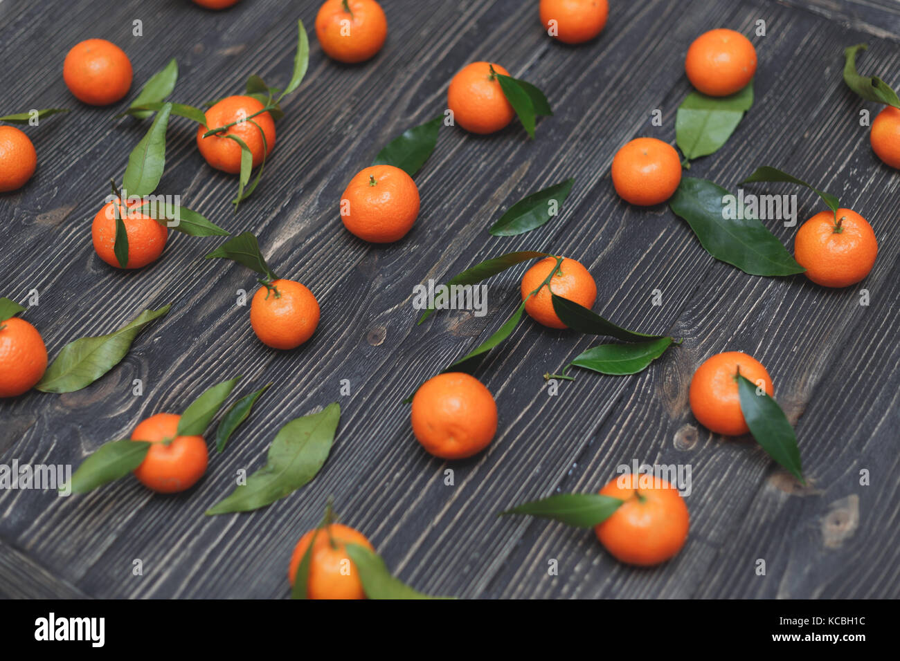 Il nuovo raccolto di tangerini giacente in un file su legno scuro dello sfondo tessiturali Foto Stock