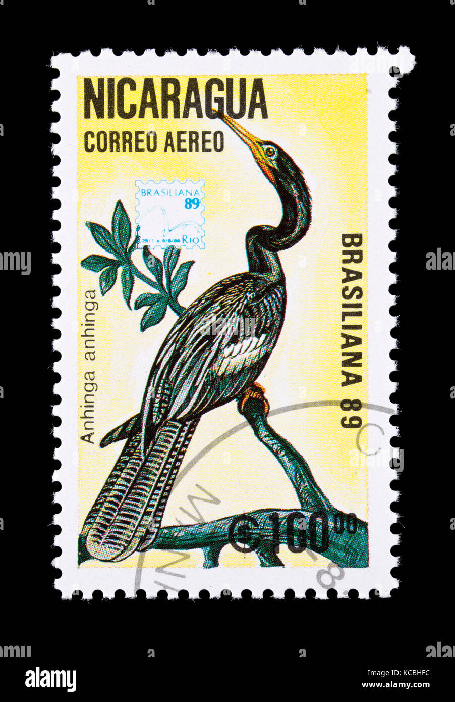 Francobollo dal Nicaragua raffigurante un Anhinga (Anhinga anhinga) Foto Stock