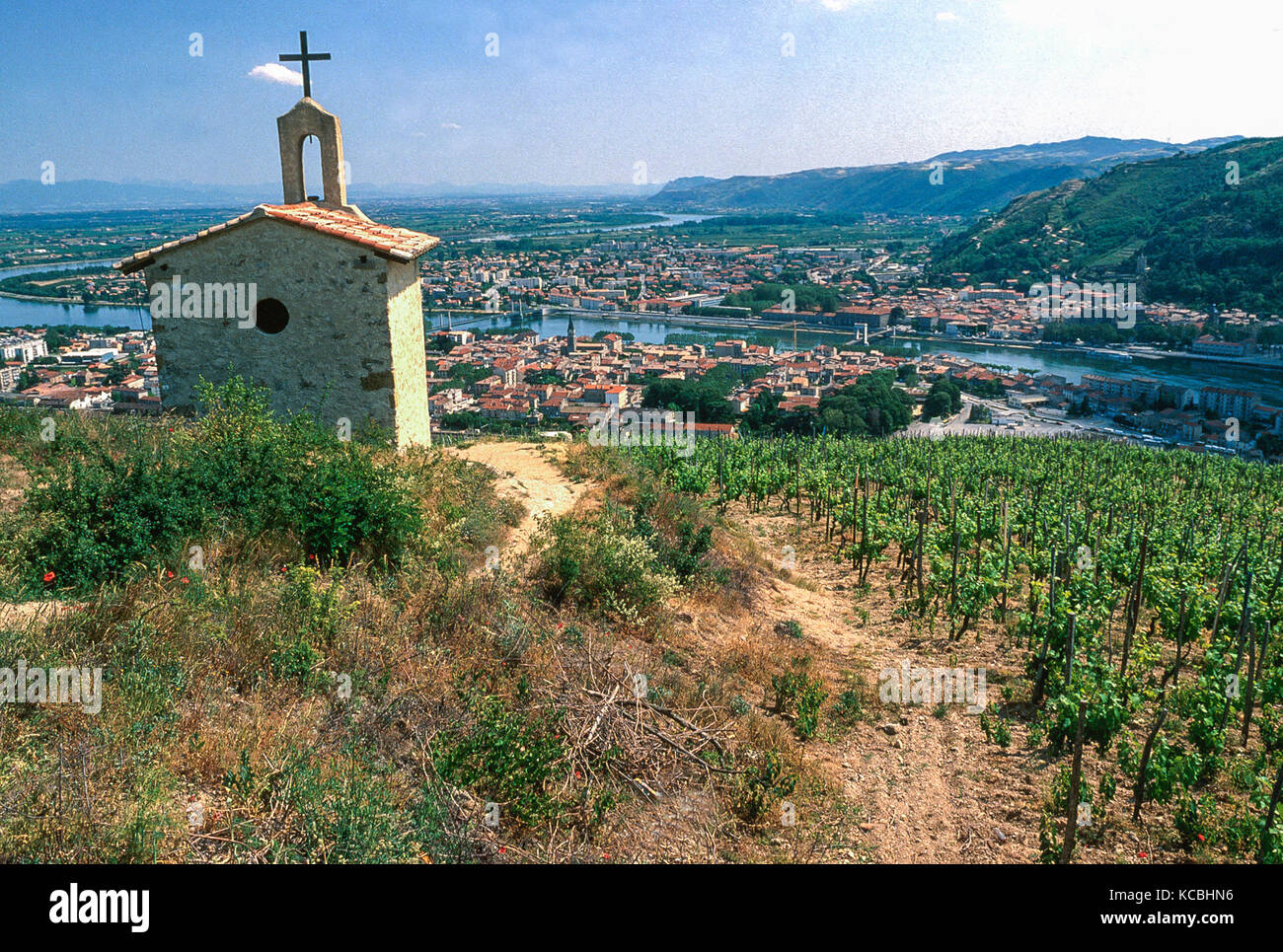 Hermitage vigna a Tain l'Hermitage, la valle del Rodano, Francia Foto Stock