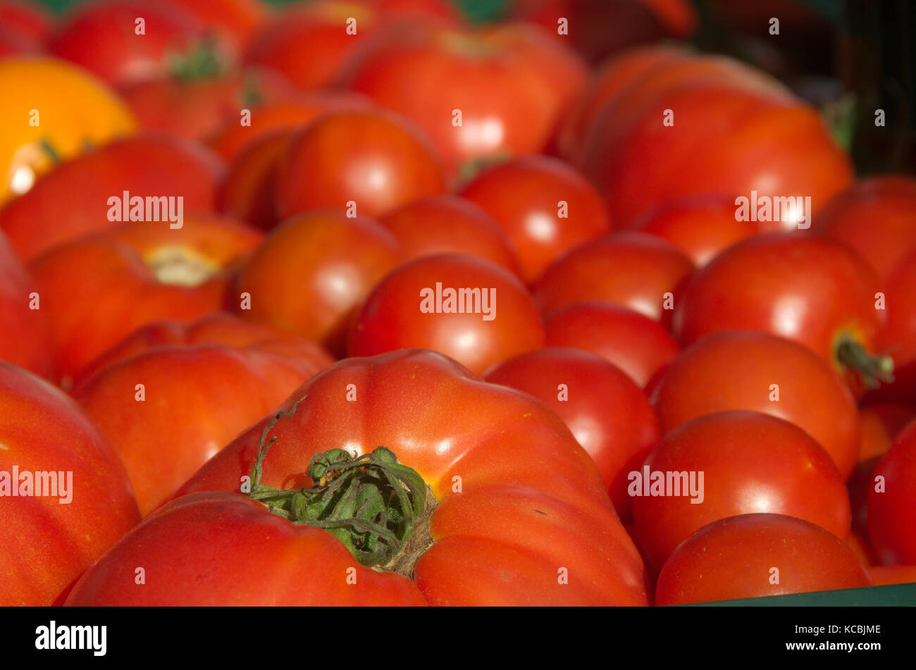 Pomodori giallo Rosso contadini alla rinfusa mercato verdure fresche biologiche Foto Stock