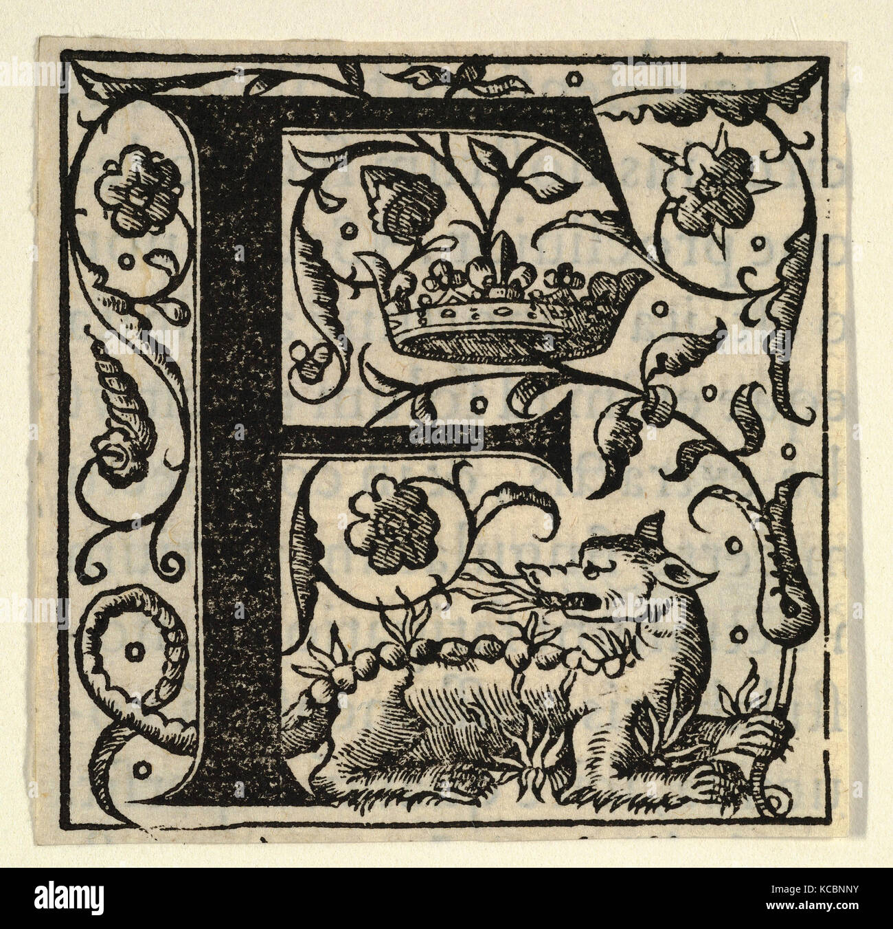 Disegni e Stampe, Stampa, lettera iniziale F con lion (?) e corona, metà del XVI secolo, 1532, 1554, Xilografia Foto Stock