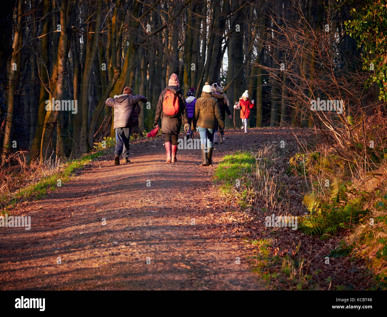 Una famiglia fuori per una serata di bosco a piedi al tramonto. Foto Stock