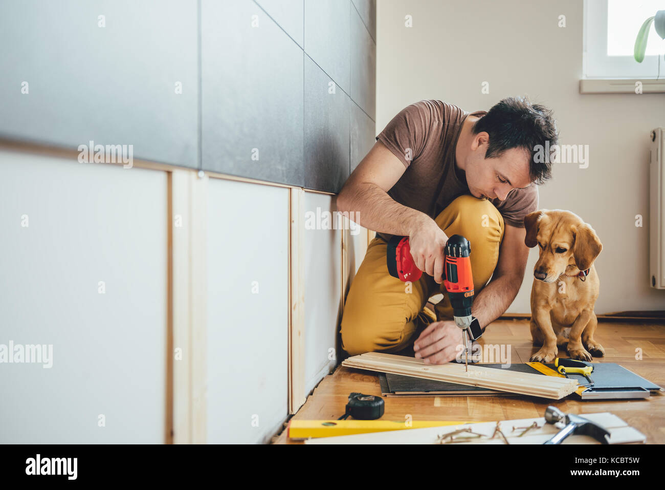 L'uomo facendo lavori di ristrutturazione a casa insieme con il suo piccolo cane giallo Foto Stock