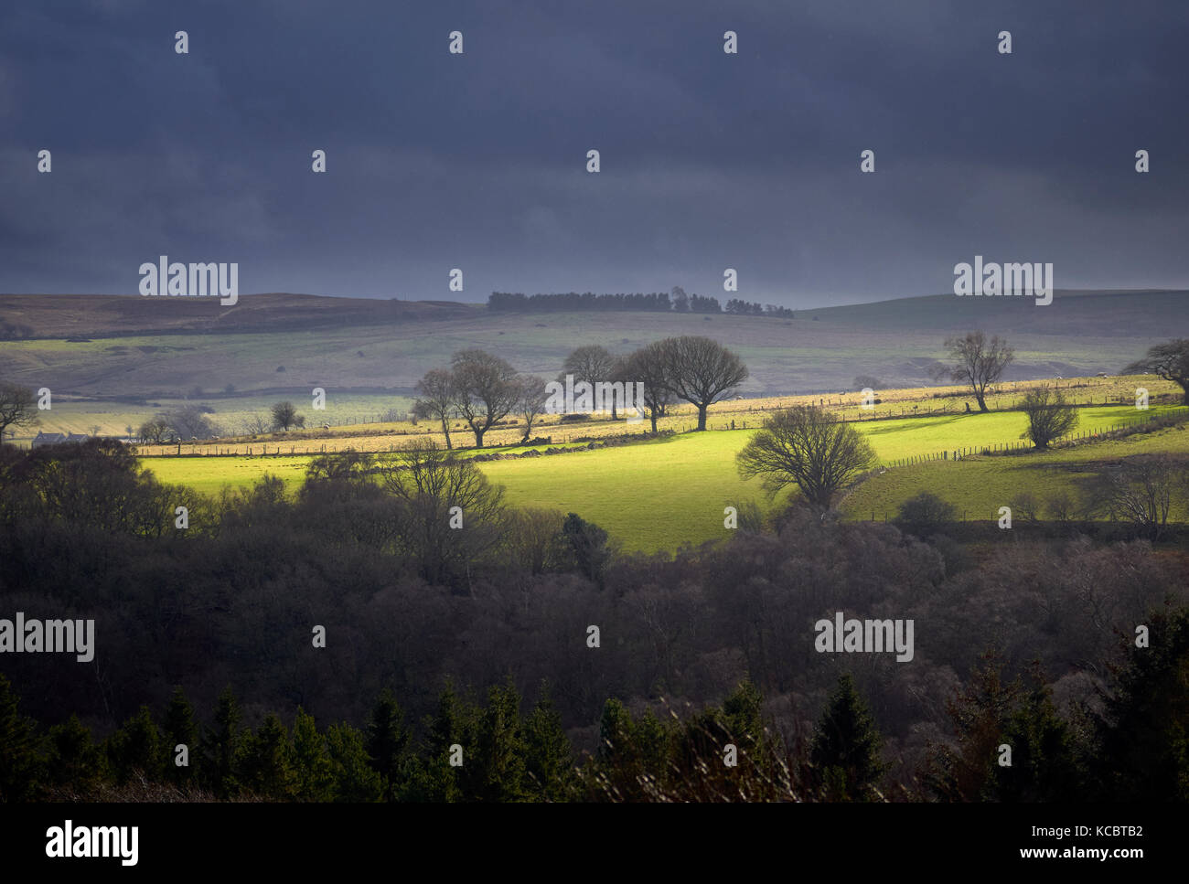 Rottura sole attraverso la nube su terreni agricoli in inglese, Muggleswick vicino Comune Edmundbyers, Inghilterra, Regno Unito. Foto Stock