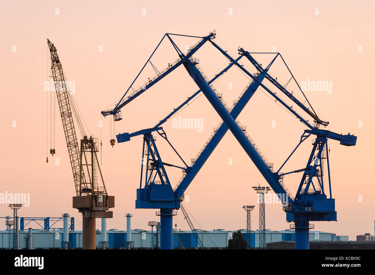 Gru, cantiere, porto d'oltremare, Rostock, Meclemburgo-Pomerania occidentale, Germania Foto Stock