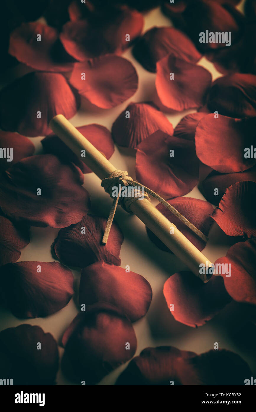 Lettera d'amore su pergamena con il rosso dei petali di rosa Foto Stock