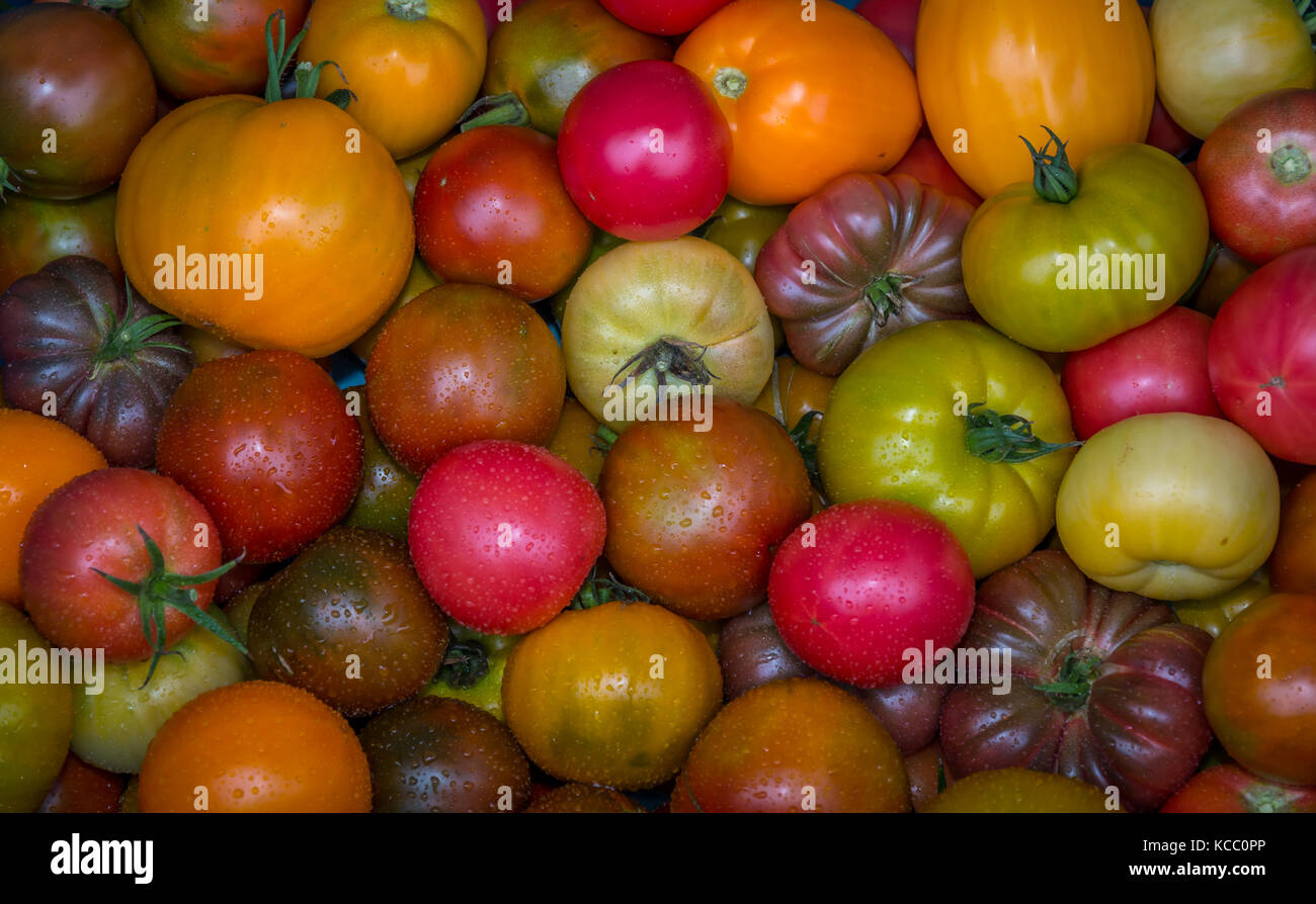 Cimelio di pomodori al mercato degli agricoltori Foto Stock