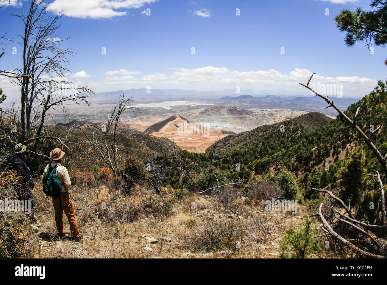 Scoperta madrense expedici-n (MDE) greatergood.org, en la sierra la elenita, para la realizaci-n de onu inventario biol-gico con onu gran grupo de par Foto Stock