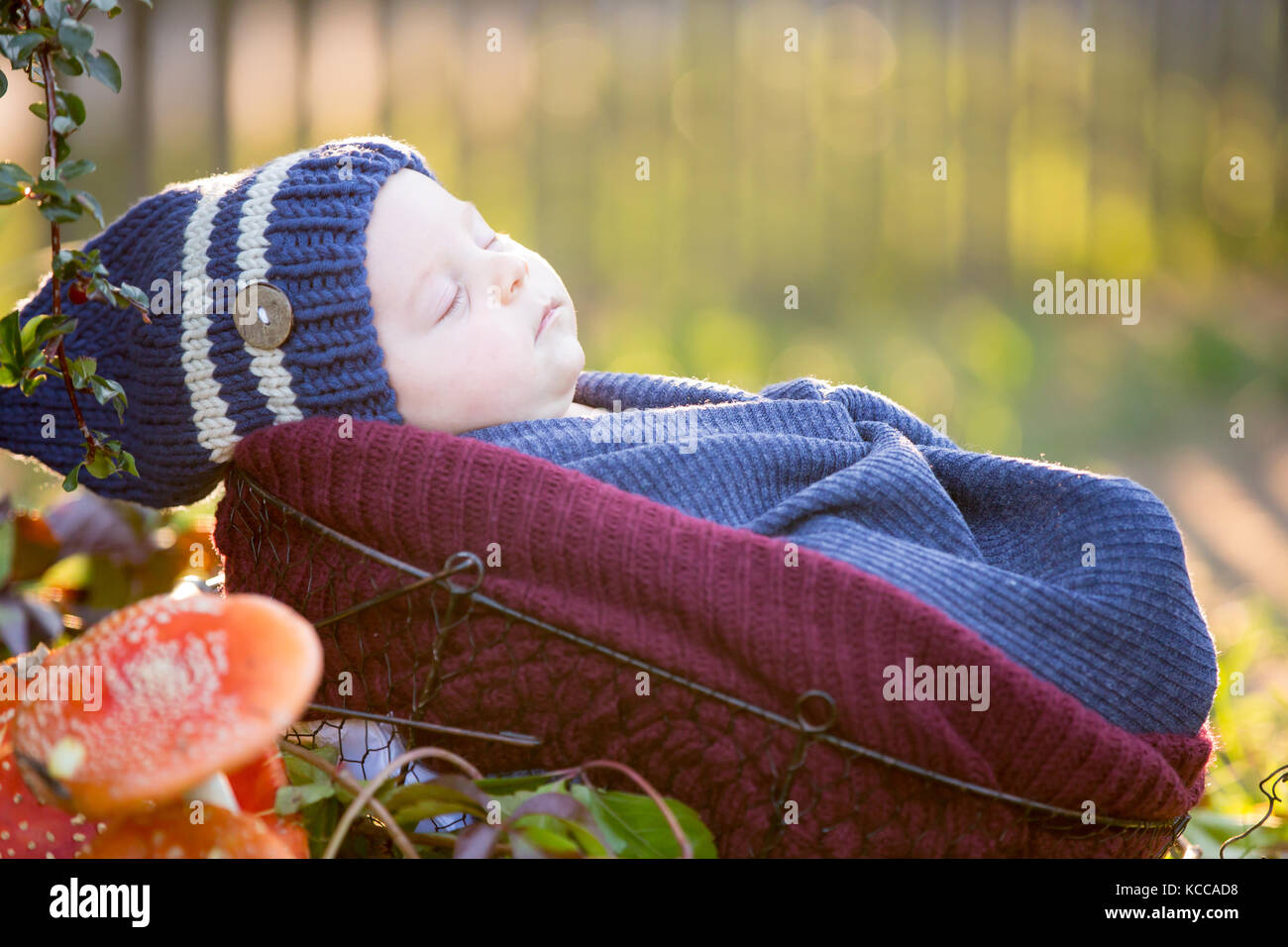 Piccolo neonato Bambino avvolto in una sciarpa, giacenti nel cestello in foresta, amanita muscaria funghi accanto a lui Foto Stock