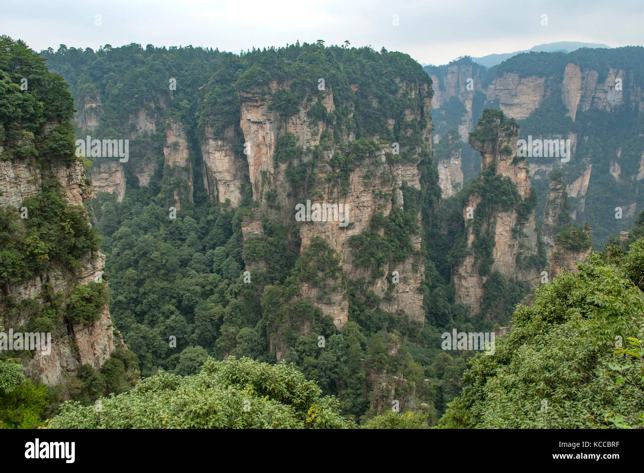 Mihuntai, yuanjiajie Scenic Area, wulingyuan Foto Stock