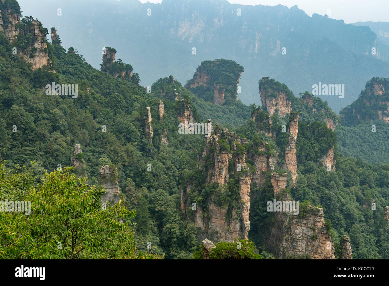 Vista dal Monte tianzi, yuanjiajie Scenic Area, wulingyuan Foto Stock