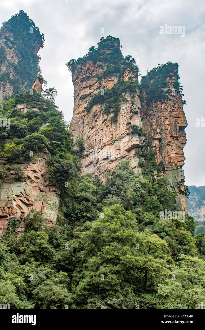 Vista dal Monte tianzi, yuanjiajie Scenic Area, wulingyuan Foto Stock