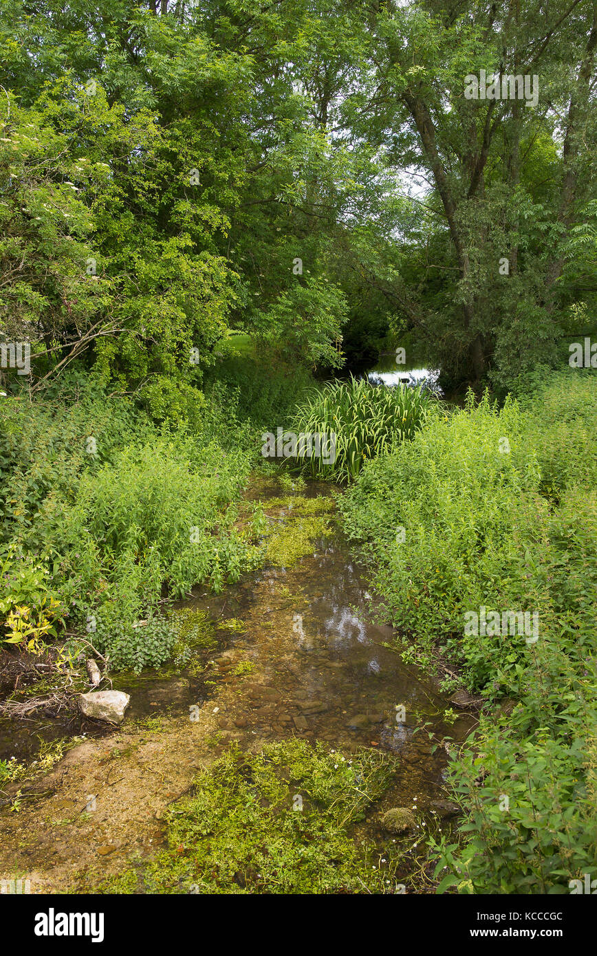Poco profondo raggiunge la parte superiore del fiume Kennet fluente attraverso Lockeridge villaggio nei pressi di Marlborough Wiltshire, Inghilterra REGNO UNITO Foto Stock