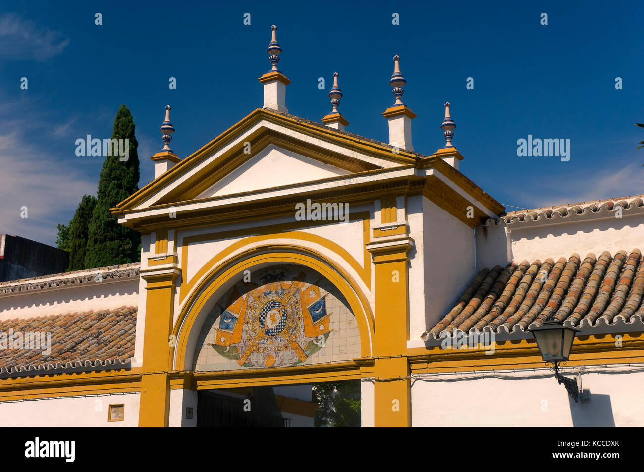 Palacio de las Duenas, Siviglia, Regione Andalusia, Spagna, Europa Foto Stock