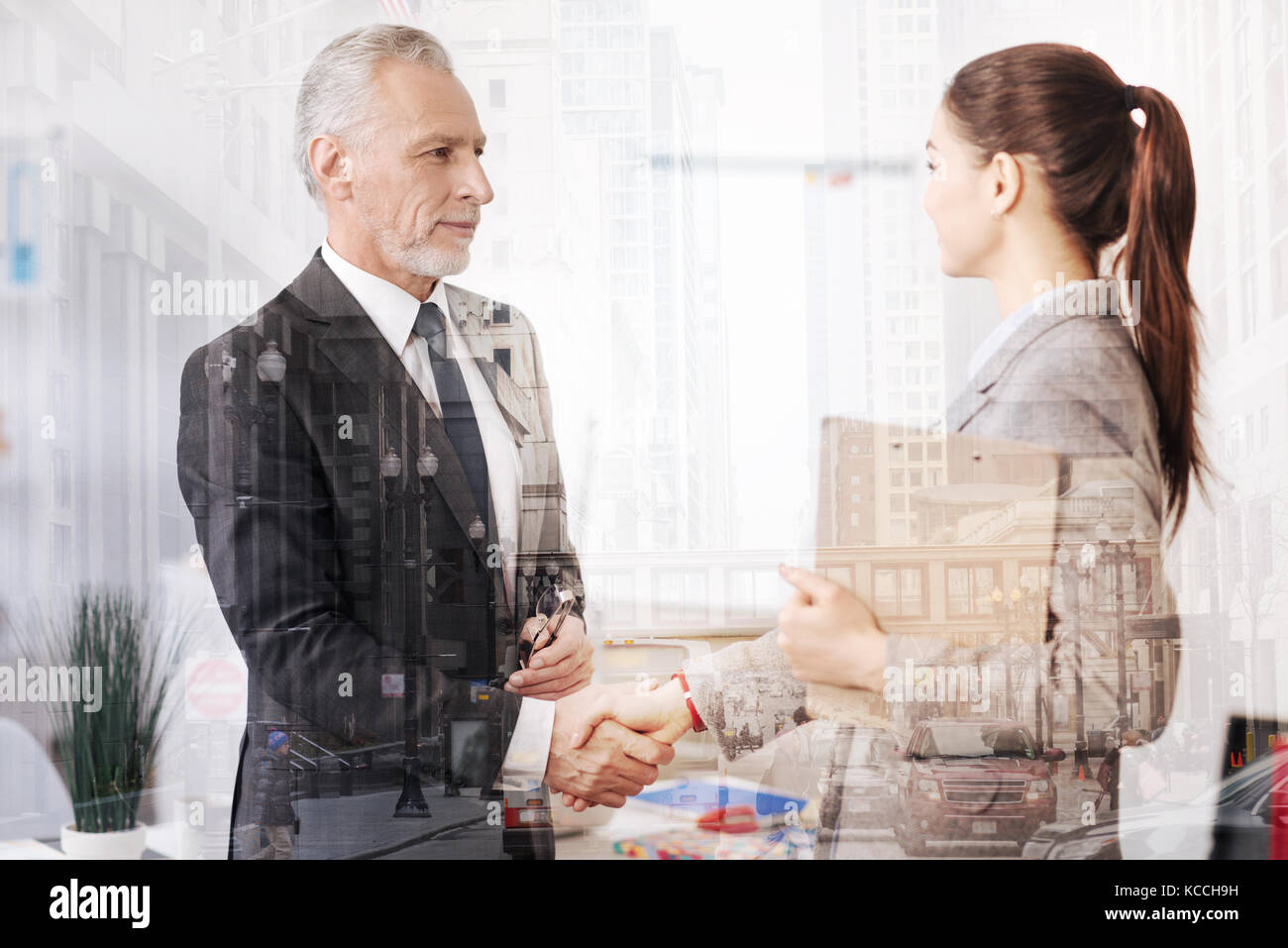 Positivo colleghi professionisti avente una stretta di mano ferma Foto Stock
