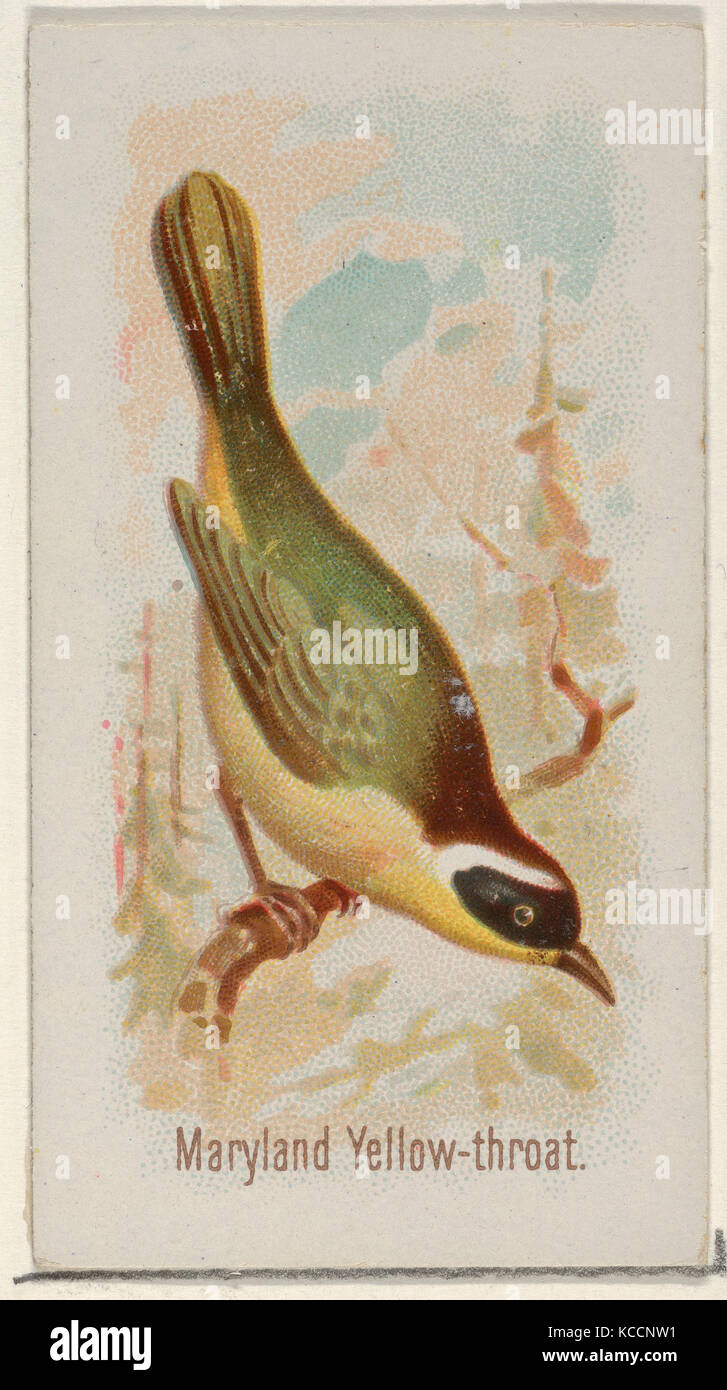 Maryland giallo-gola, dal canto degli uccelli del mondo serie (N23) per Allen & Ginter sigarette, 1890 Foto Stock