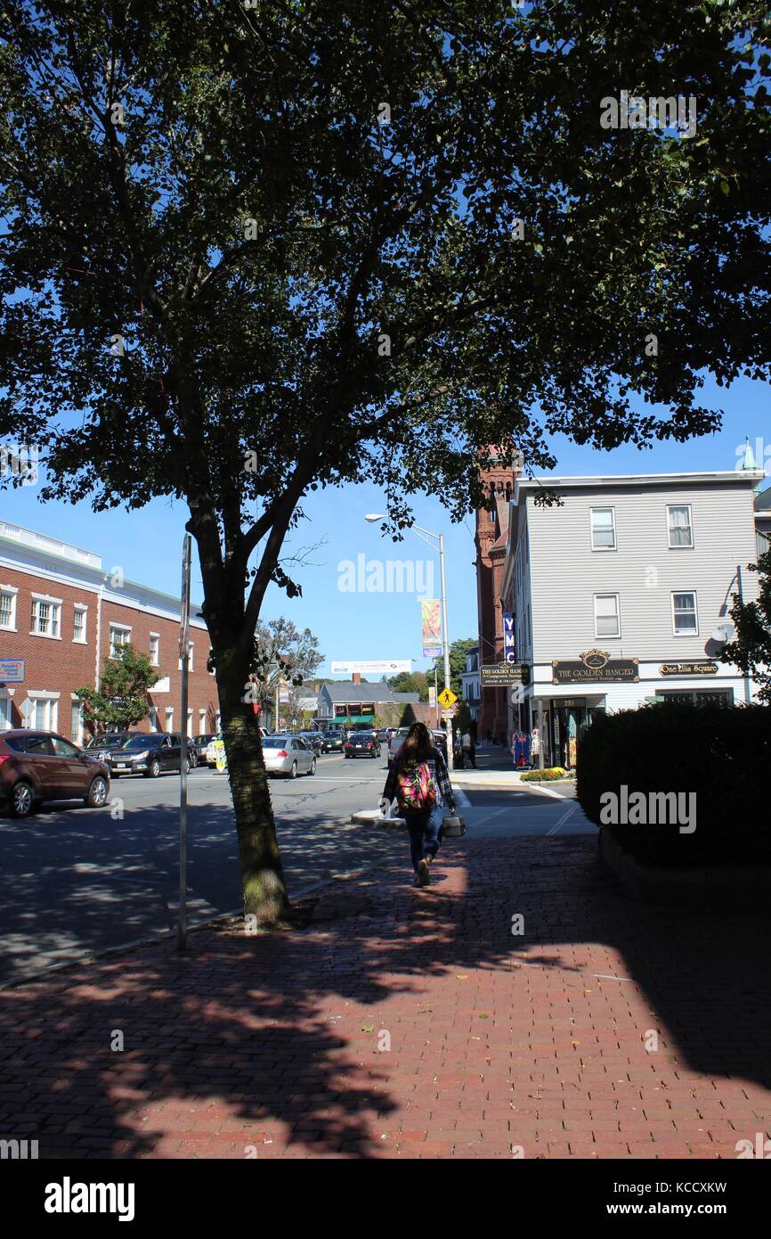Una signora cammina il suo cane lungo una bella strada nell'america coloniale nella regione nord-atlantica del New england, nel massachusetts Foto Stock