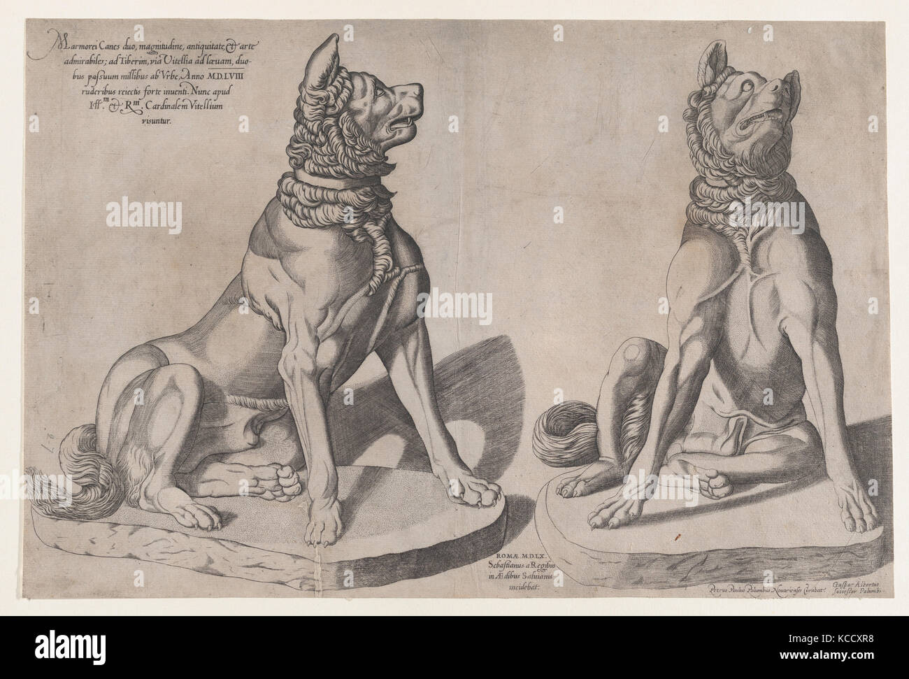Speculum Romanae Magnificentiae": due cani, Sebastiano di Re, 1558 Foto Stock