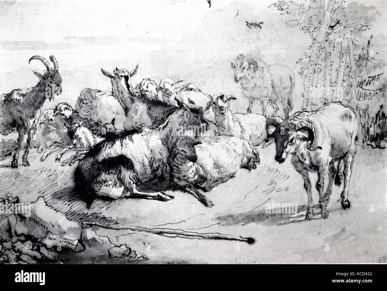 Capre e pecore in un paesaggio, Giovanni Domenico Tiepolo, ca. 1760-61 Foto Stock