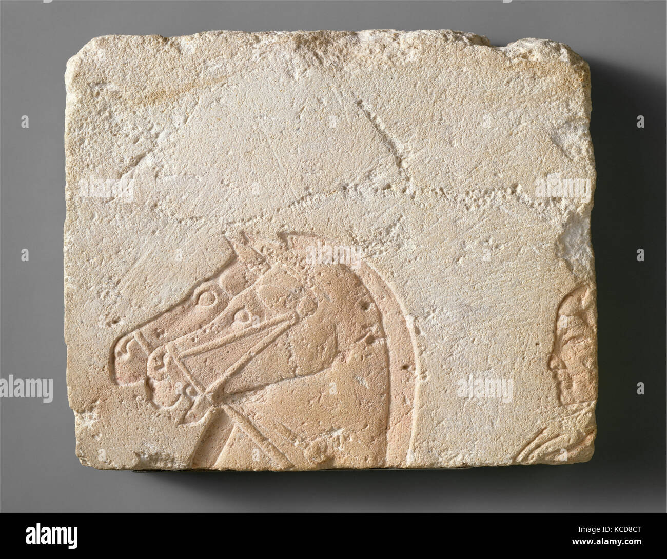 Teste di due cavalli e un condottiero, ca. 1353-1336 A.C. Foto Stock