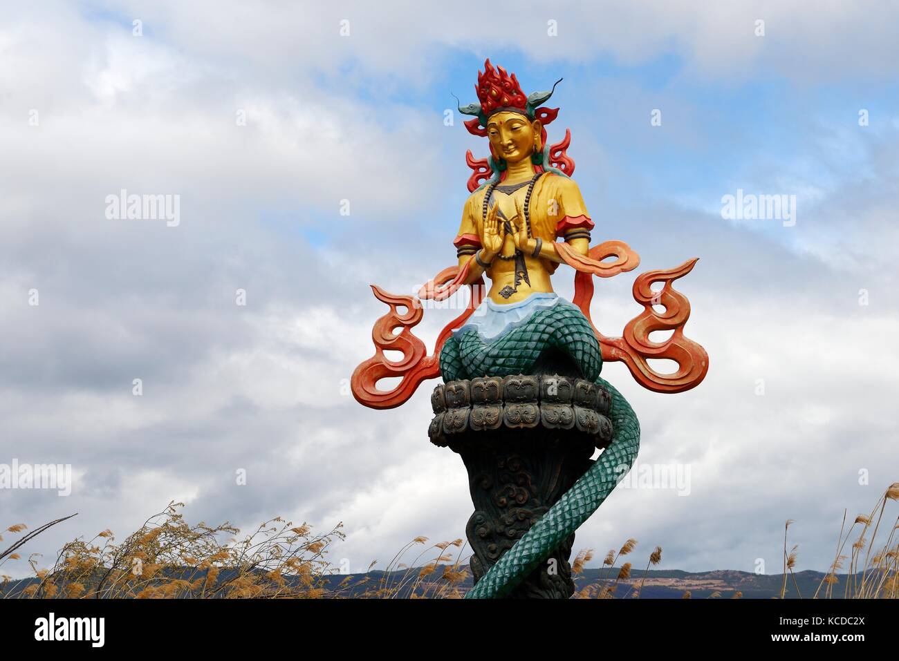 Lago lashi margine a Lijiang altopiano lashihai wetland riserva naturale. importante naxi e li etnia. dongba sacerdoti santuario al Dio della natura Foto Stock