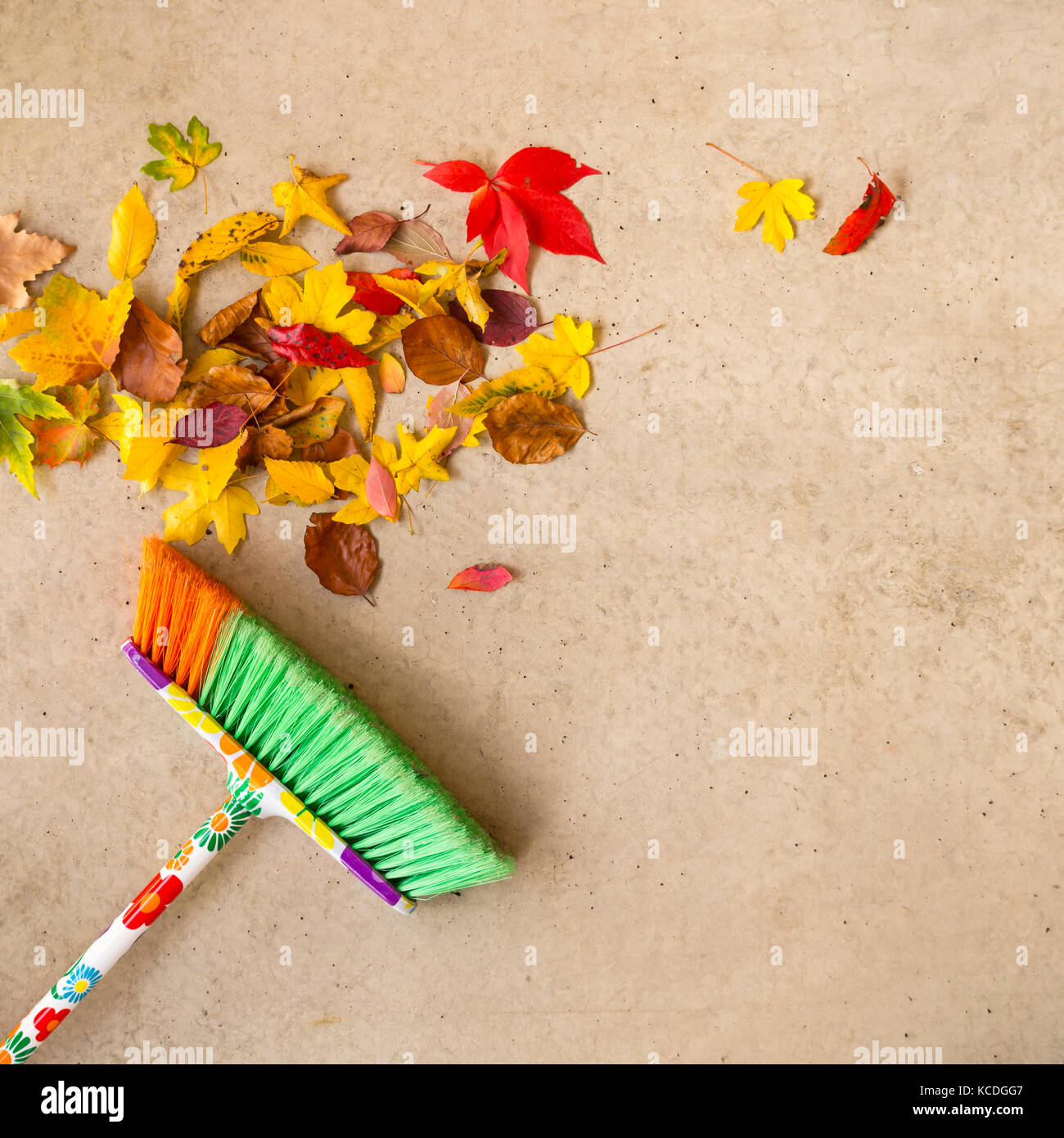 La pulizia a secco di foglie di autunno da un pavimento in cemento con una scopa colorato Foto Stock