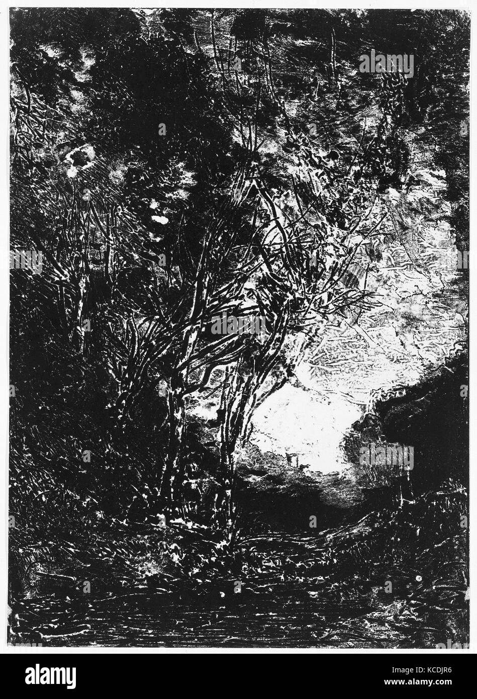 L agguato (L'Embuscade), 1858, cliché-verre, Piastra: 8 5/8 x 6 1/4 in. (21,9 x 15,9 cm), stampe, Camille Corot (francese, Parigi Foto Stock