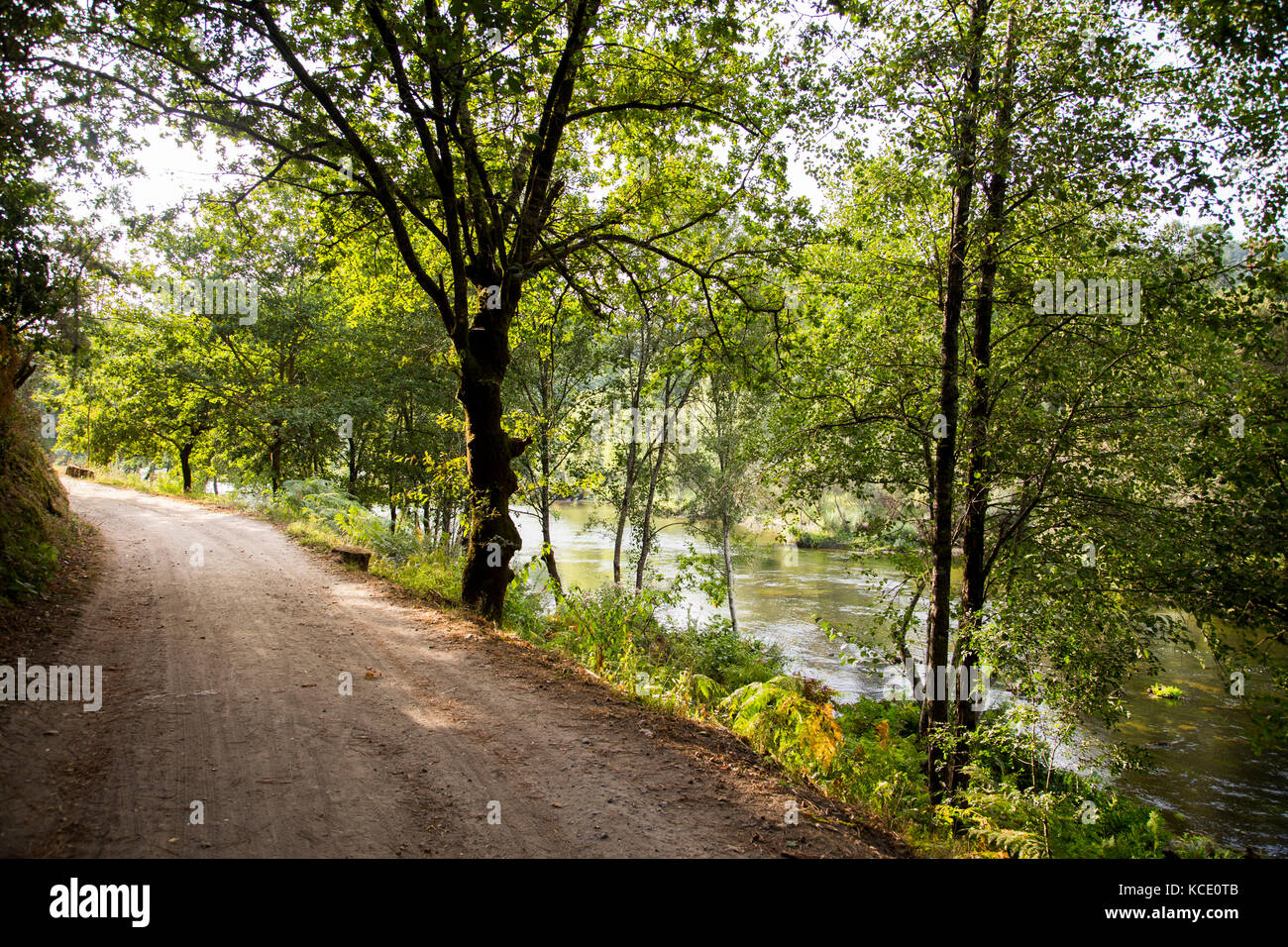 evia, una bella strada per pedoni e ciclisti, tra Ponte da Barca e Ponte de Lima, lungo il fiume Lima, Portogallo Foto Stock