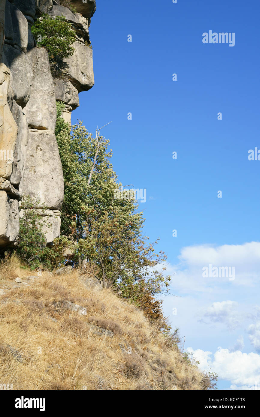 Formazione naturale di arenaria che assomiglia stranamente al profilo di un uomo, natura-fatto Monte Rushmore. Annot, Alpi dell'alta Provenza, Francia. Foto Stock