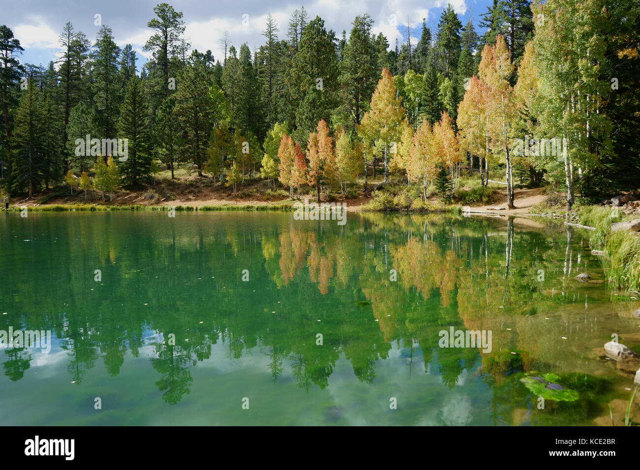 Aspen Mirror Lake, Dixie National Forest, Utah, USAS Foto Stock