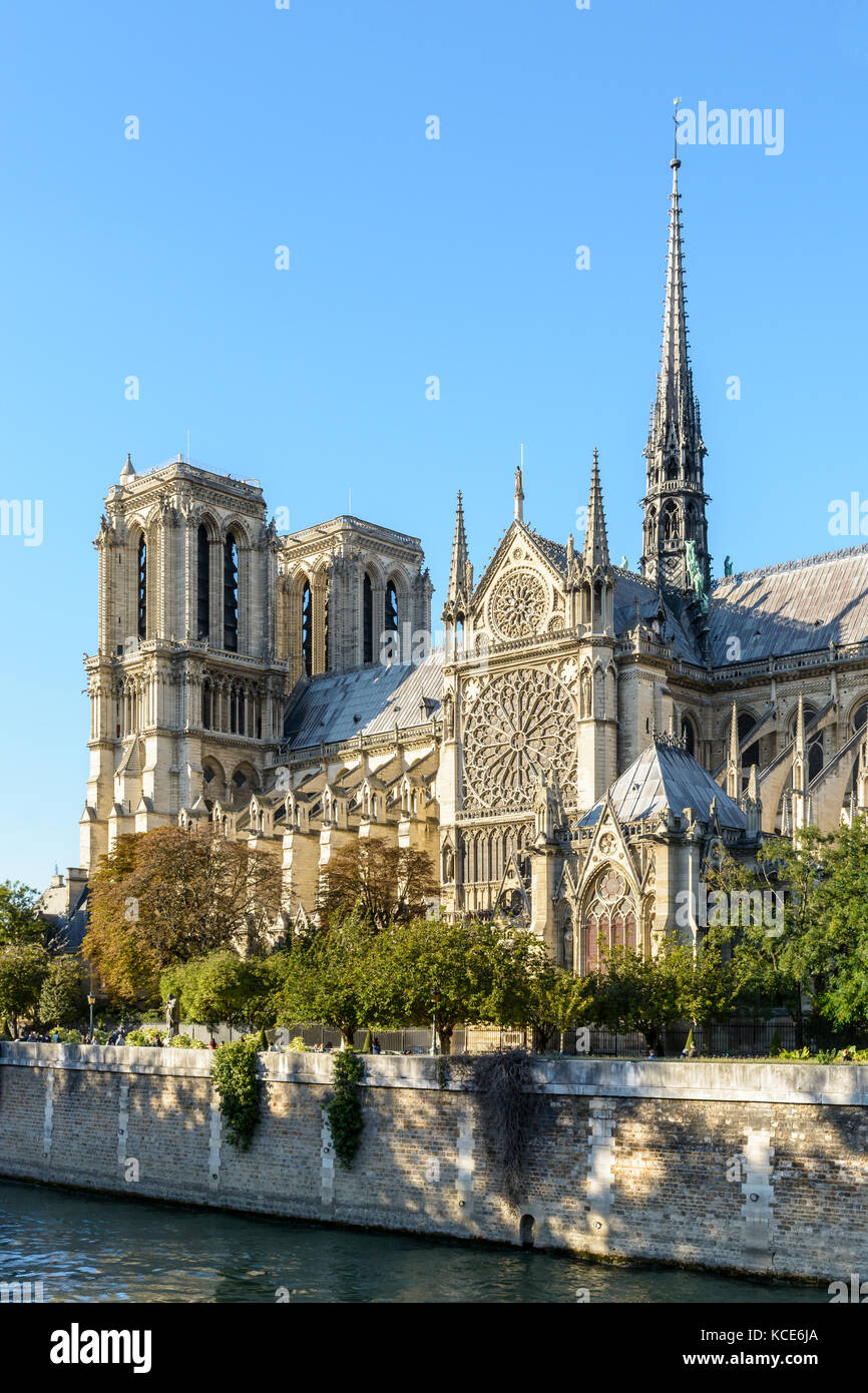 Tre quarti di vista del lato meridionale di Notre Dame de Paris cathedral da una soleggiata sera all'inizio di caduta con il fiume Senna nel foreg Foto Stock