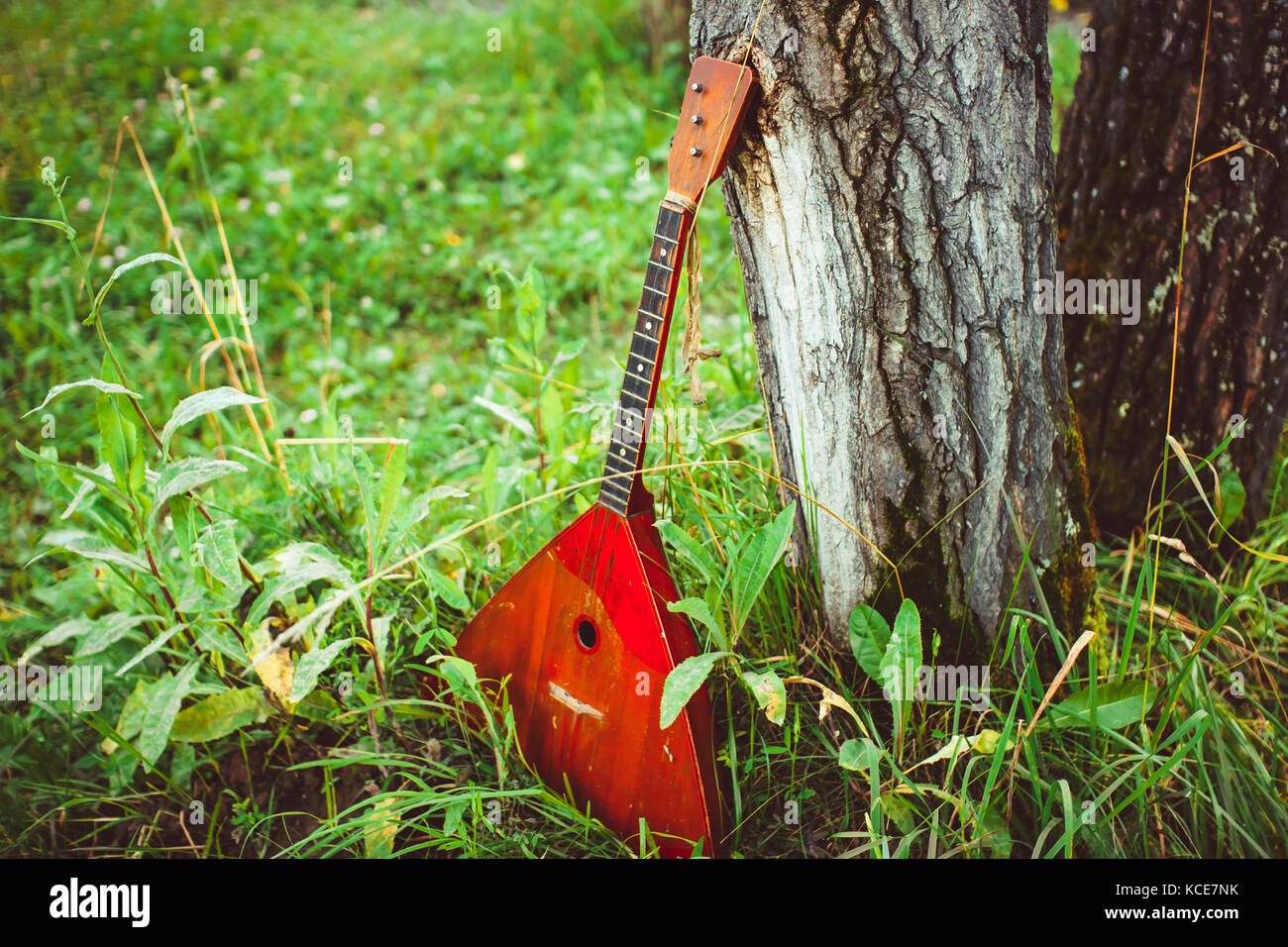 La balalaika è nella foresta vicino la struttura ad albero Foto Stock