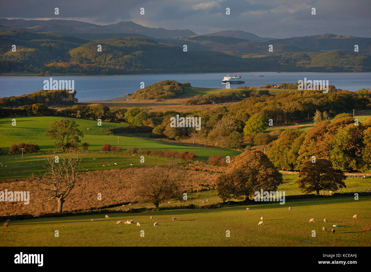Mv finlaggan in west loch, nr tarbert, kintyre, Argyll Foto Stock