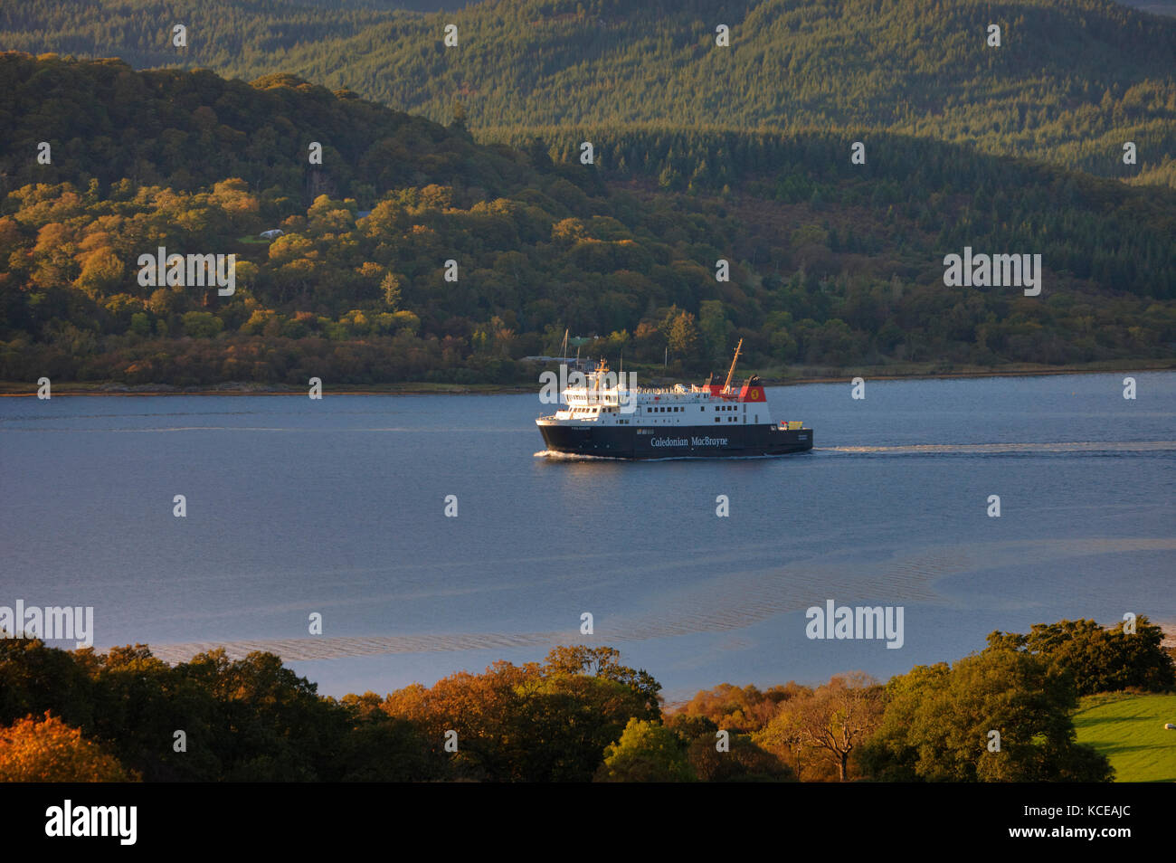Caledonian macbrayne nave mv finlaggan, west loch tarbert, kintyre, Argyll Foto Stock