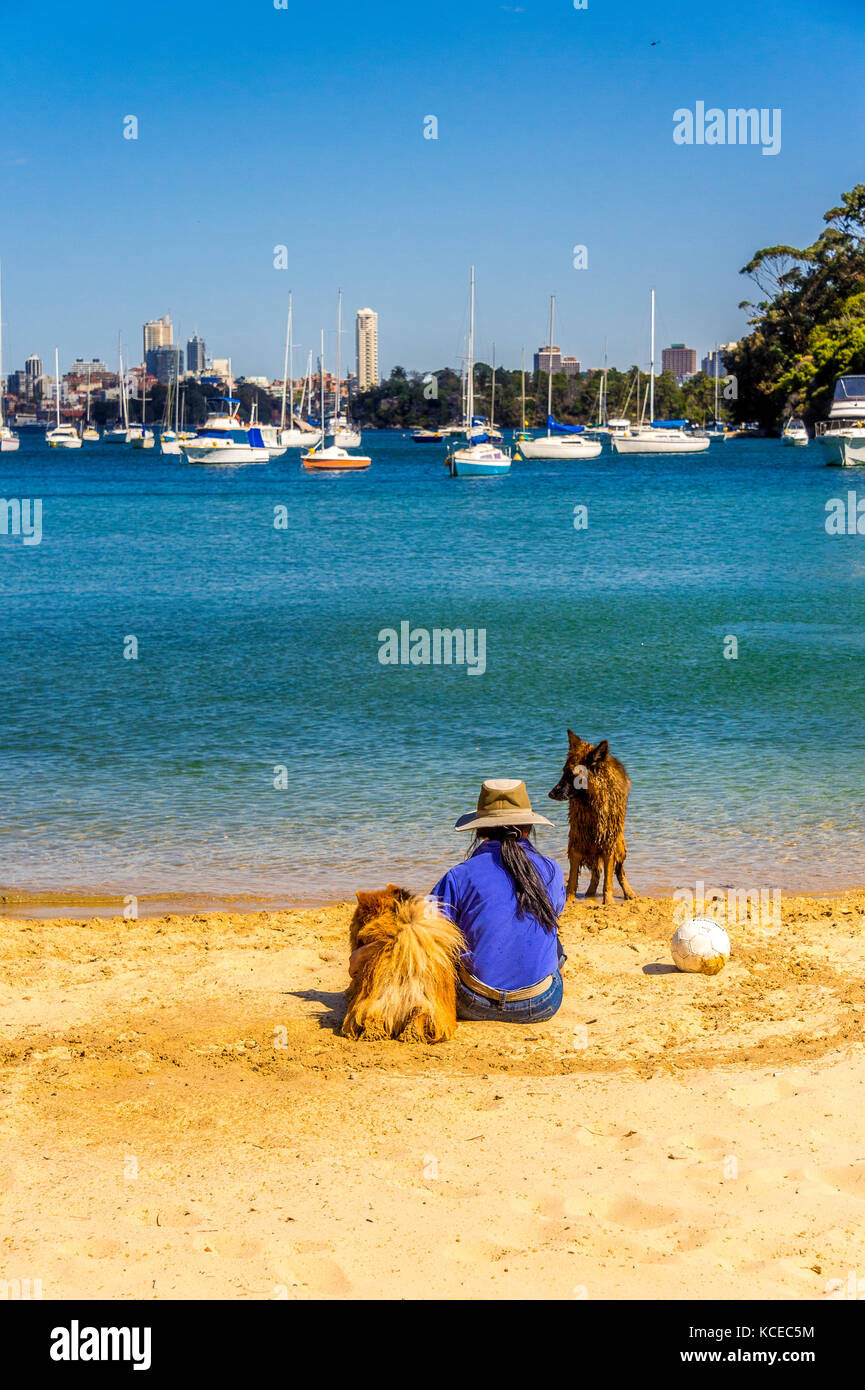 Un proprietario trascorre del tempo con i suoi cani su una spiaggia di Sydney Foto Stock