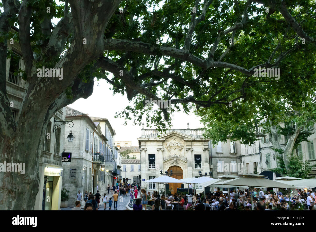 Avignone, Provenza, Francia Foto Stock