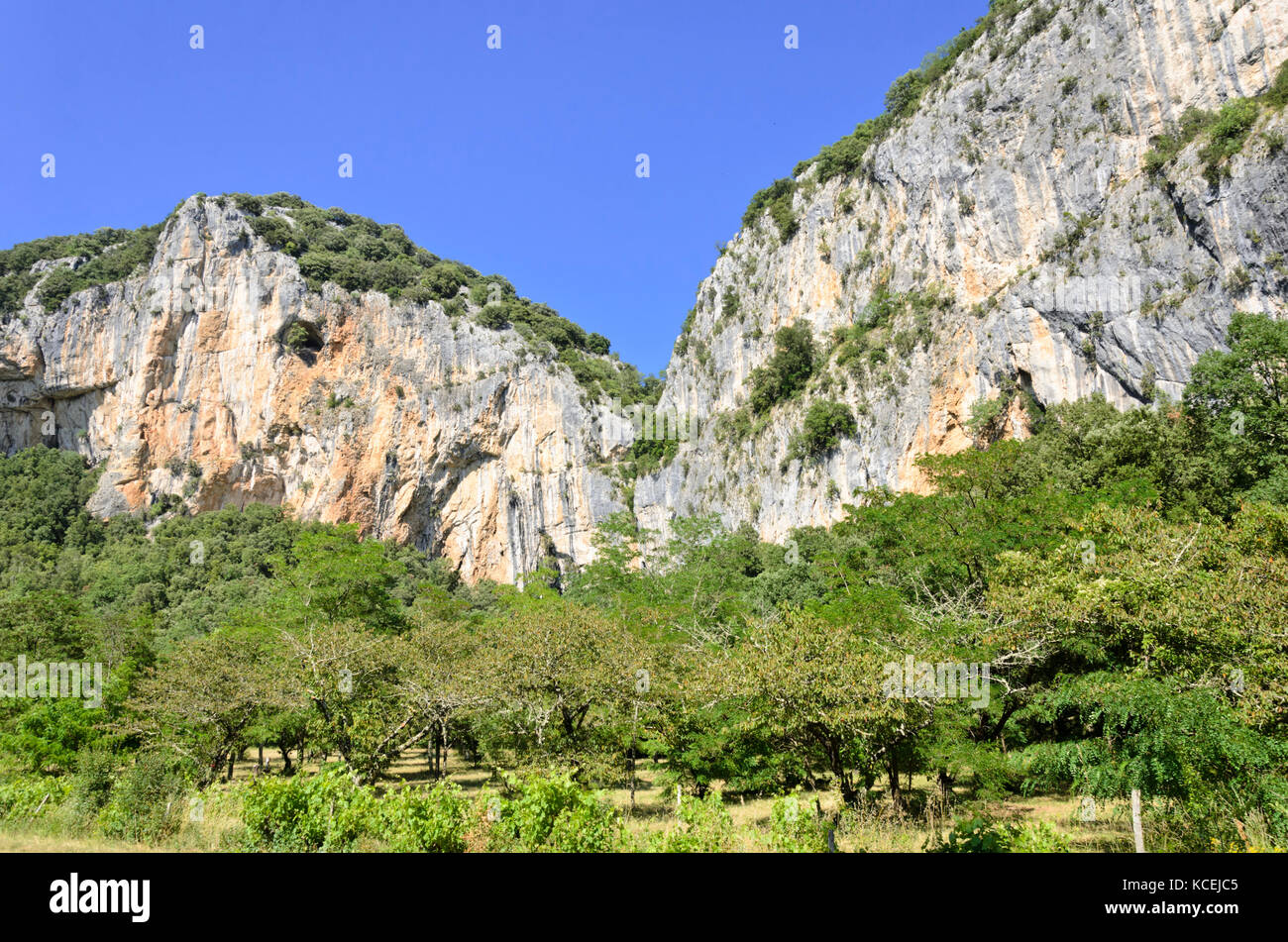 Pendio di montagna all'Ardèche, Francia Foto Stock
