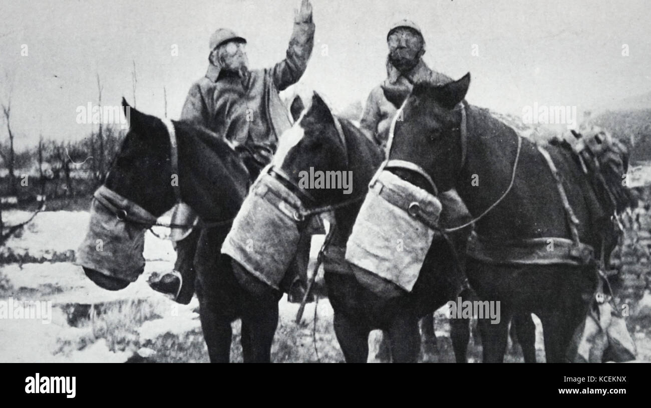 Fotografia di soldati e i loro cavalli indossare maschere antigas durante  la Prima Guerra Mondiale Foto stock - Alamy
