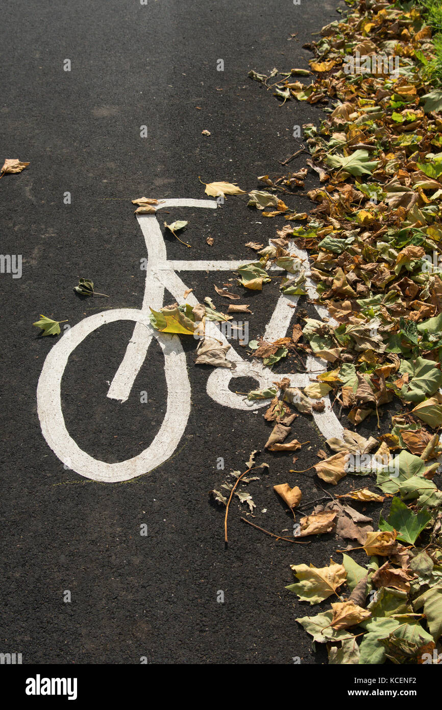 Foglie di autunno coprire parzialmente verniciato bianco simbolo bici su strada asfaltata, segnando il percorso della pista ciclabile sul fiume Ouse sentiero, York, England, Regno Unito - close-up Foto Stock